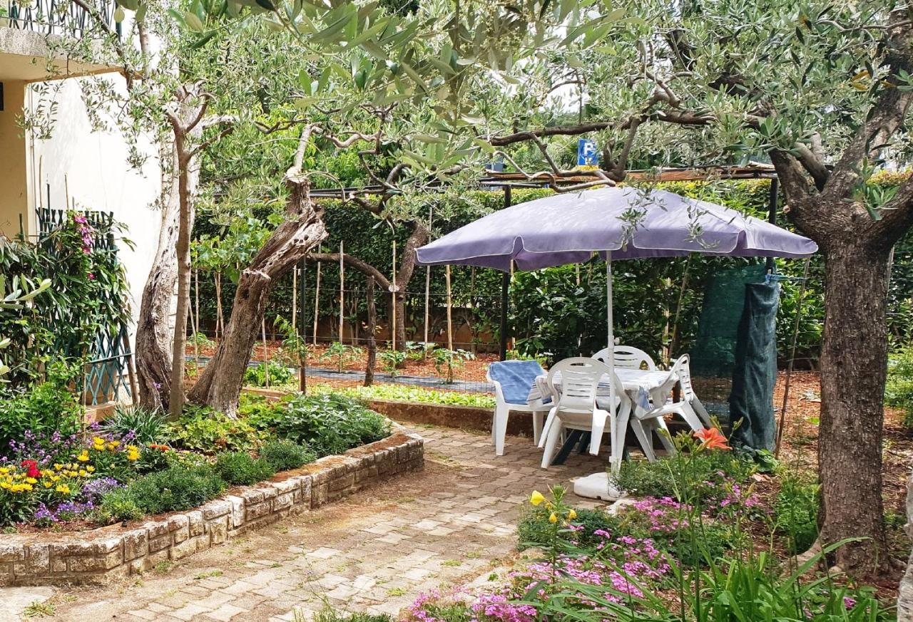 Cecillia Mare Apartments روفينج المظهر الخارجي الصورة