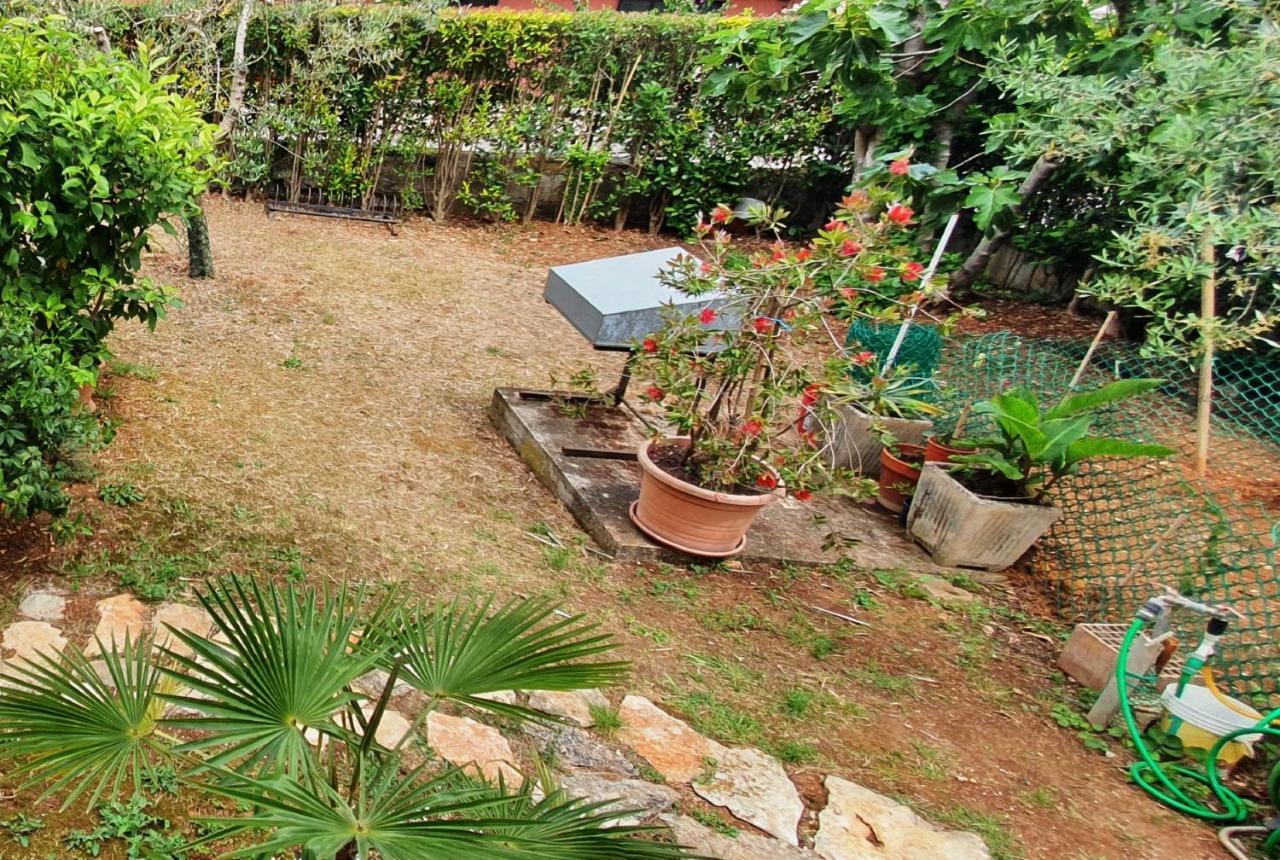 Cecillia Mare Apartments روفينج المظهر الخارجي الصورة